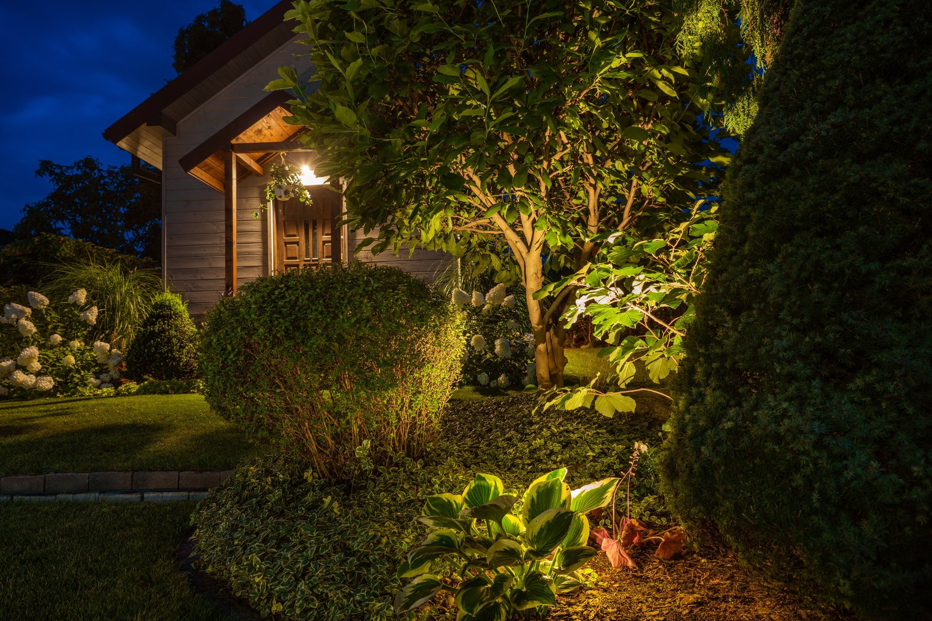 Beautifully illuminated backyard landscape garden with ambient lighting highlighting plants at dusk