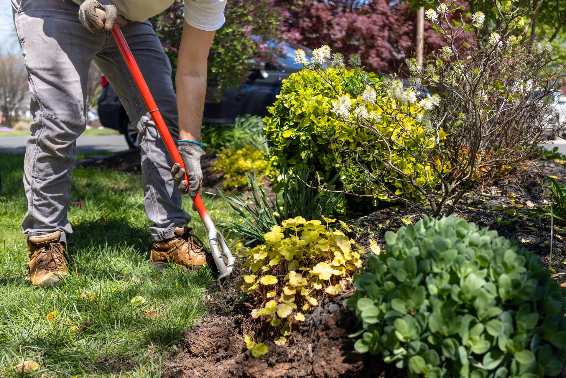 Man edging a flower bed to prepare for mulch