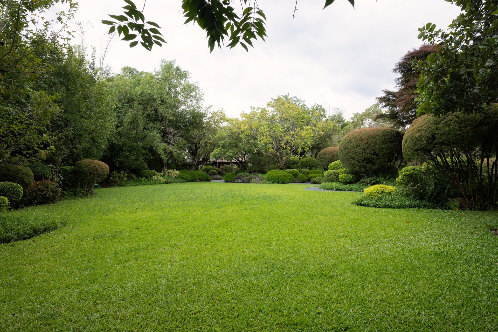 Lush green garden with lawn and mature trees