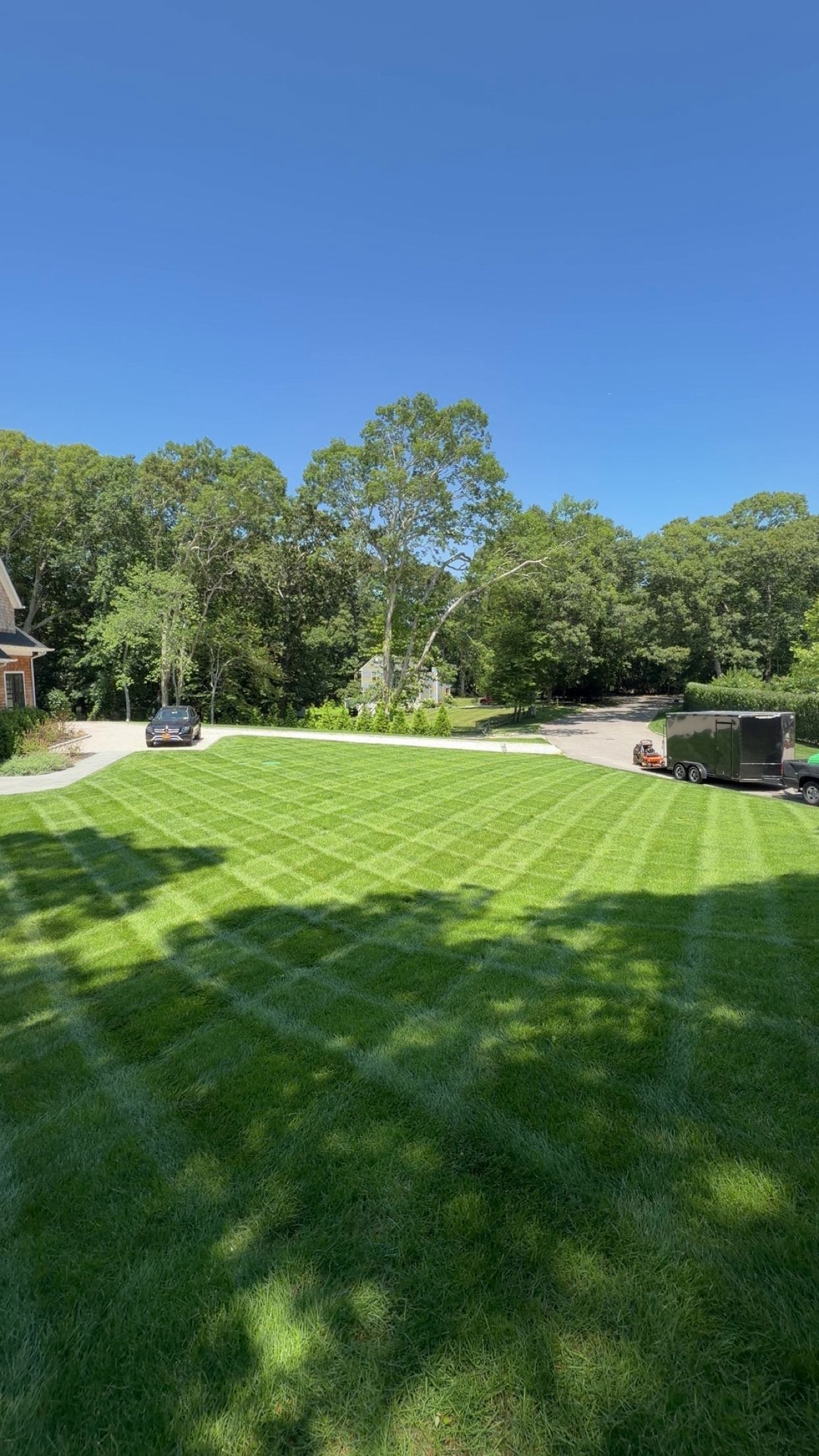 Well-maintained residential lawn with diagonal mowing stripes, framed by mature trees and a driveway on a clear summer day