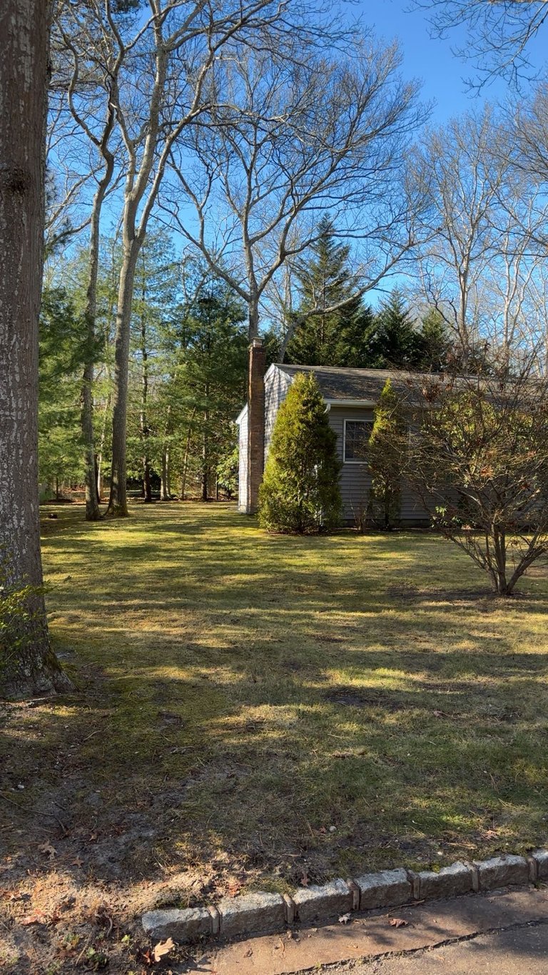 Small wooden cabin surrounded by bare trees and evergreens on a grassy lawn on a sunny day