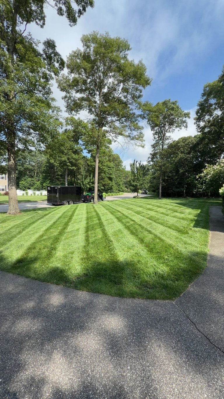 Well-maintained lawn with diagonal stripe mowing pattern, bordered by mature trees and asphalt pathways under clear blue sky