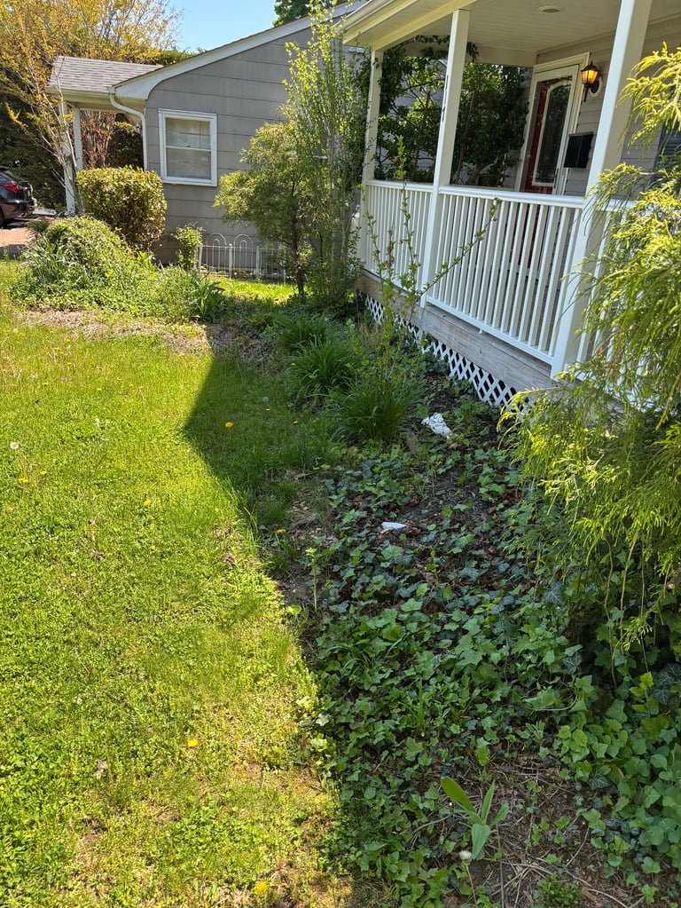 Gray house with white porch and railing surrounded by overgrown lawn and dense ivy vegetation along the foundation