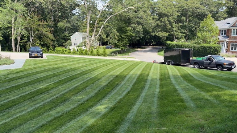 Residential lawn with diagonal striped mowing pattern, houses and trees in background