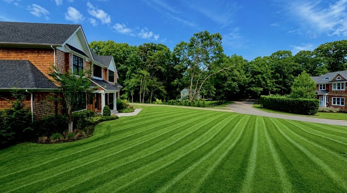Brick suburban homes with manicured lawn featuring diagonal mowing stripes, tree-lined street, and blue sky