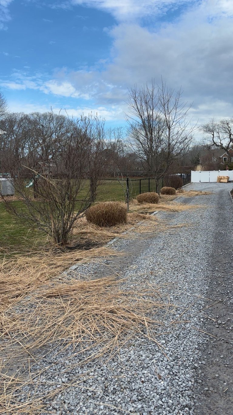 Gravel driveway leading through rural property with bare trees, dormant shrubs, and fencing under partly cloudy sky