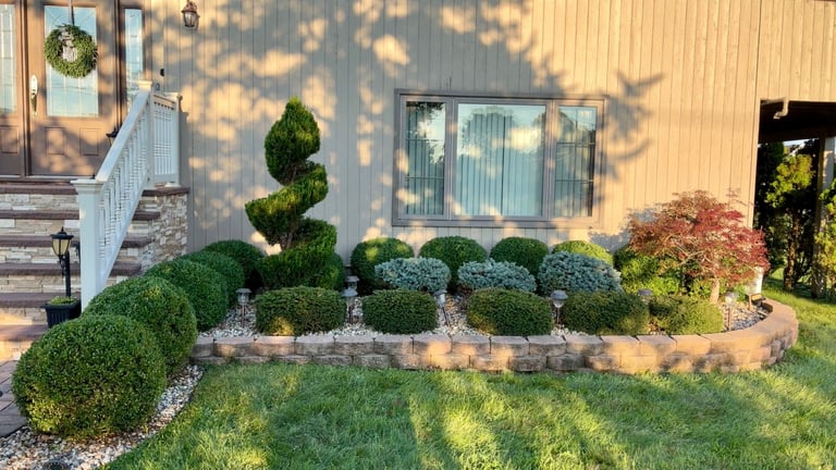 Landscaped front yard with topiary bushes, curved stone planter, and modern house exterior in warm sunlight