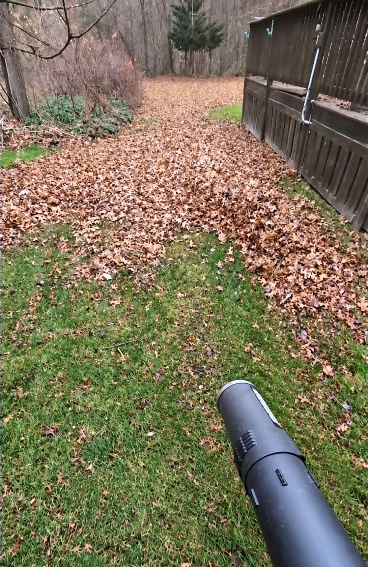 Black downspout lying on grass in backyard with fallen leaves and wooden fence in background