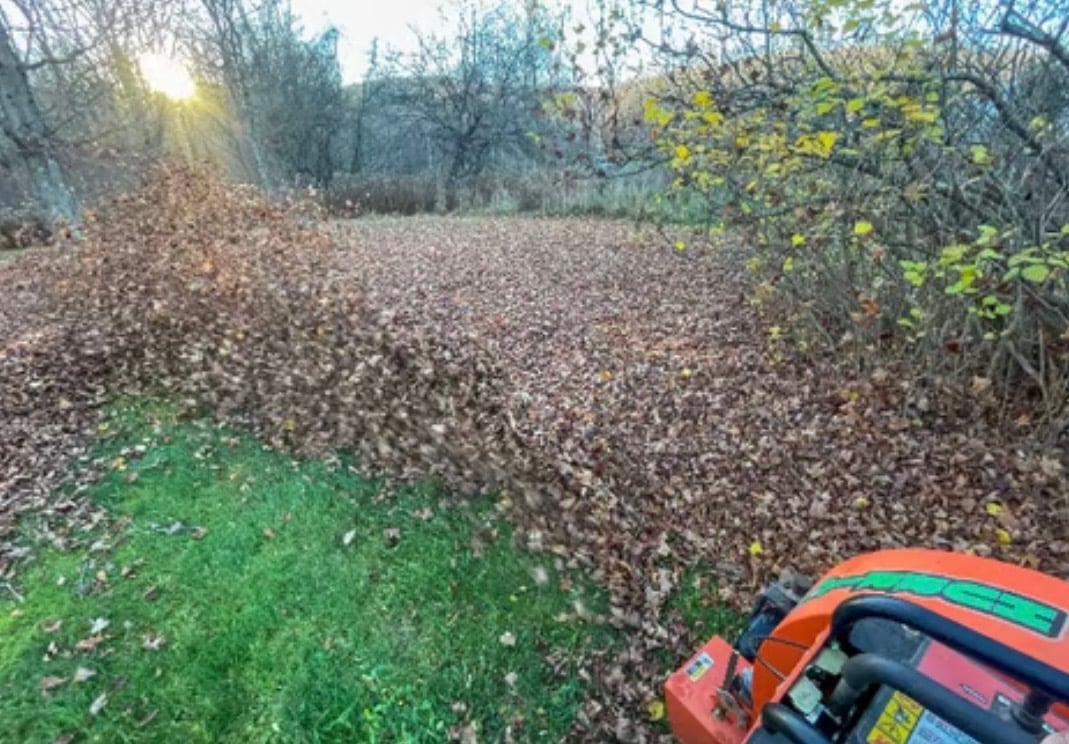 Red lawn mower on green grass at edge of brown mulched yard with bare trees and sun in background