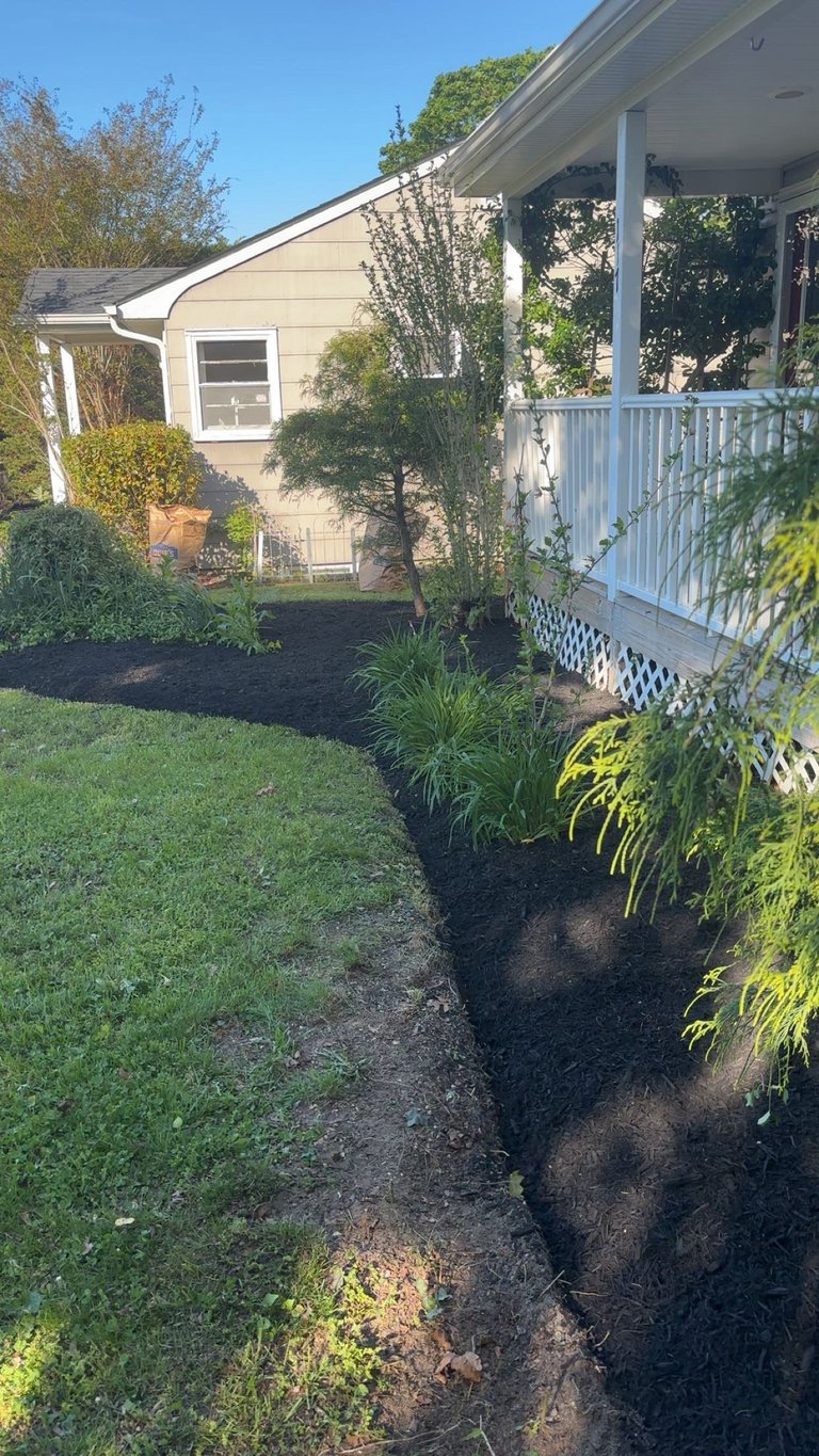 Single-story beige house with white porch and landscaped front garden with shrubs and mulch on sunny day