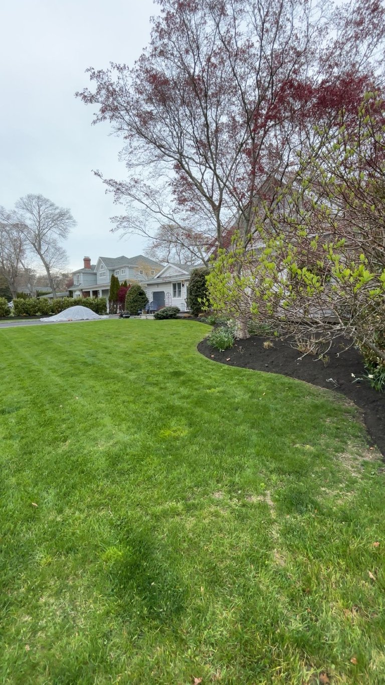 Large suburban home with manicured lawn, flowering trees, and landscaping in spring