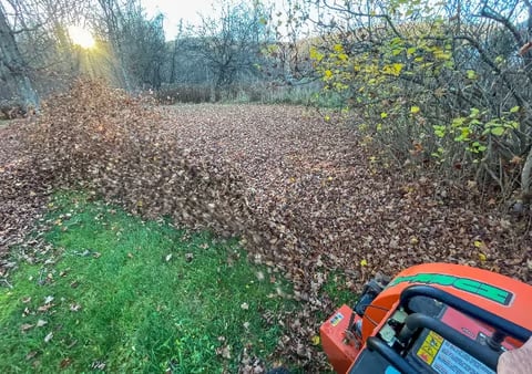 Orange and blue lawn mower in foreground on grassy field with brown mulched ground and bare trees in background
