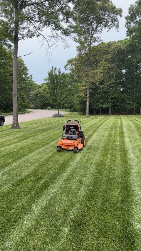 Person on orange riding lawn mower cutting grass in striped pattern on expansive lawn with tall trees