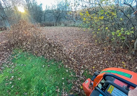 Orange and blue lawn mower on grass overlooking a leaf-covered field with trees and sunlight