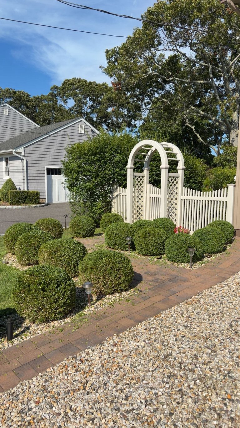 A white arbor and picket fence surrounded by manicured green boxwood shrubs in front of a gray house with mature trees.