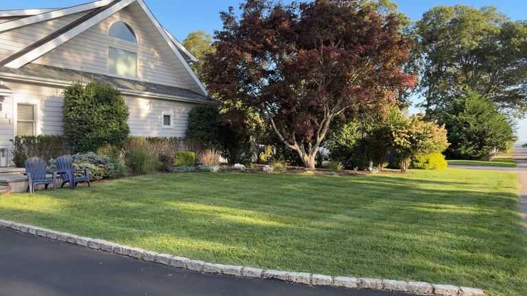 Spacious residential yard with manicured lawn, blue Adirondack chairs, mature shade trees, and light gray house with gable roof