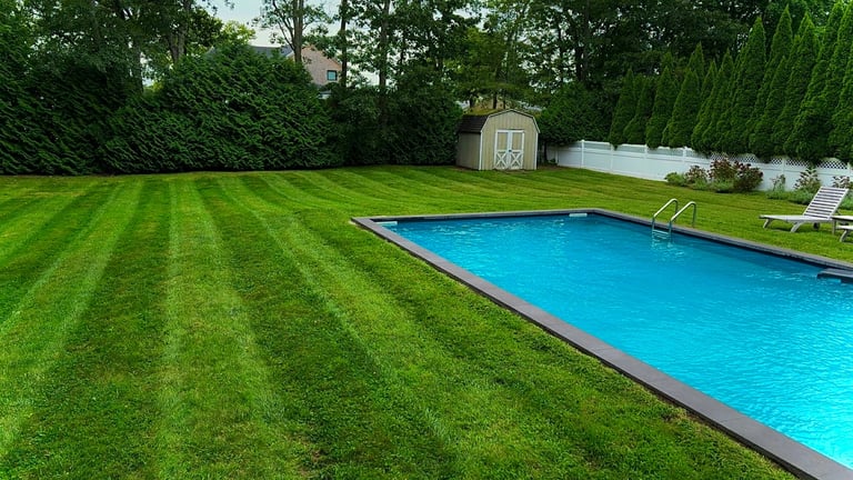 Rectangular swimming pool with bright blue water next to a manicured lawn with green striped pattern and landscaping in a residential backyard