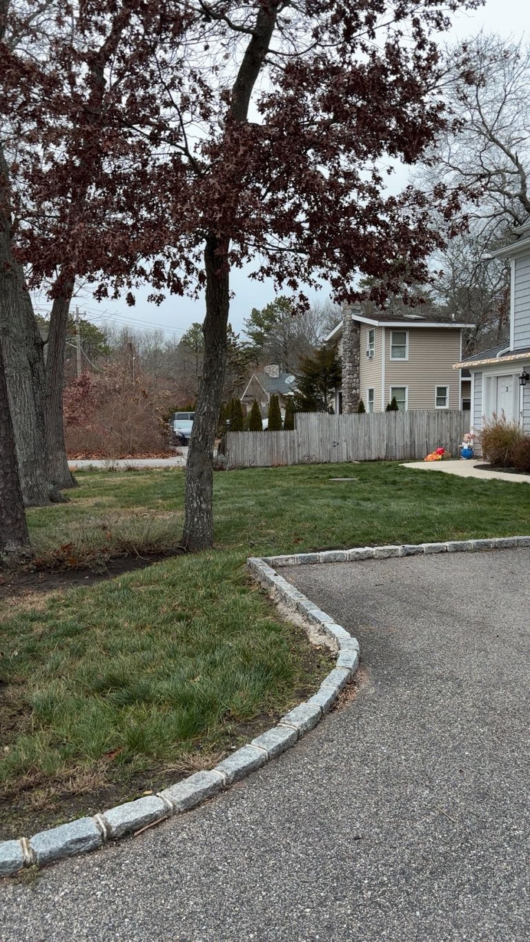 Suburban home with large oak tree in front yard, paved driveway, wooden fence, and green lawn in early spring