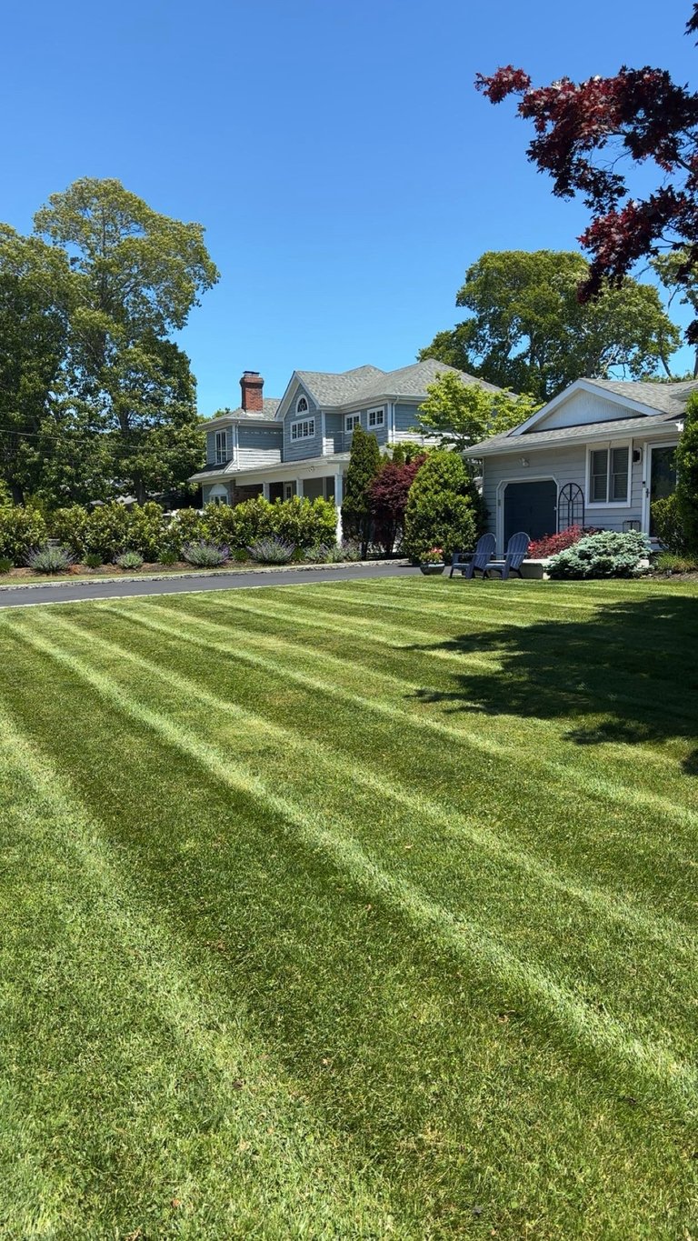 A well-maintained suburban property with two houses, manicured striped lawn, mature trees, and landscaped garden under clear blue sky