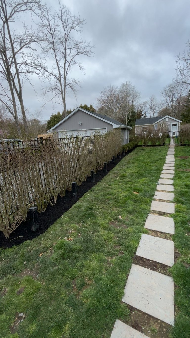 Residential backyard with stone stepping stone pathway, wooden fence, bare trees, and two houses under cloudy sky