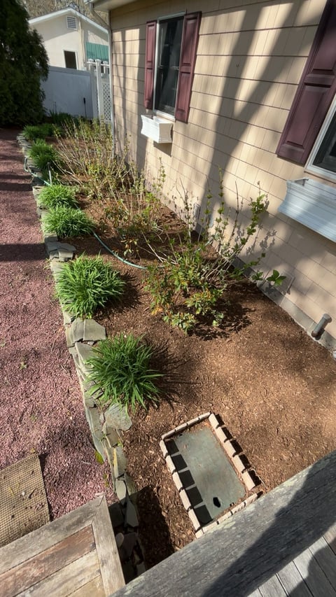 Residential side yard with potted plants, mulch landscaping, and metal drain grate near house foundation